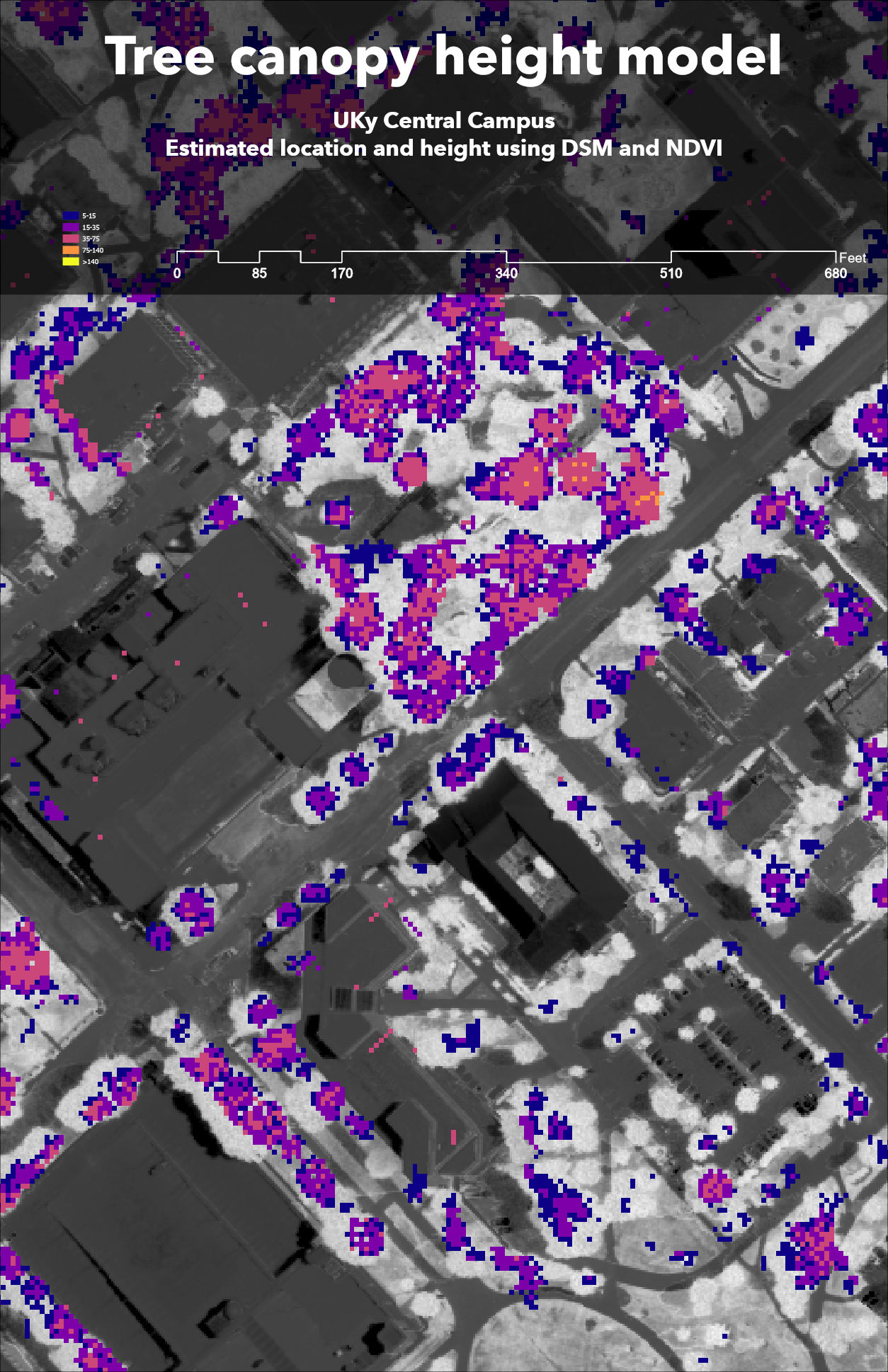 UKy Campus canopy model